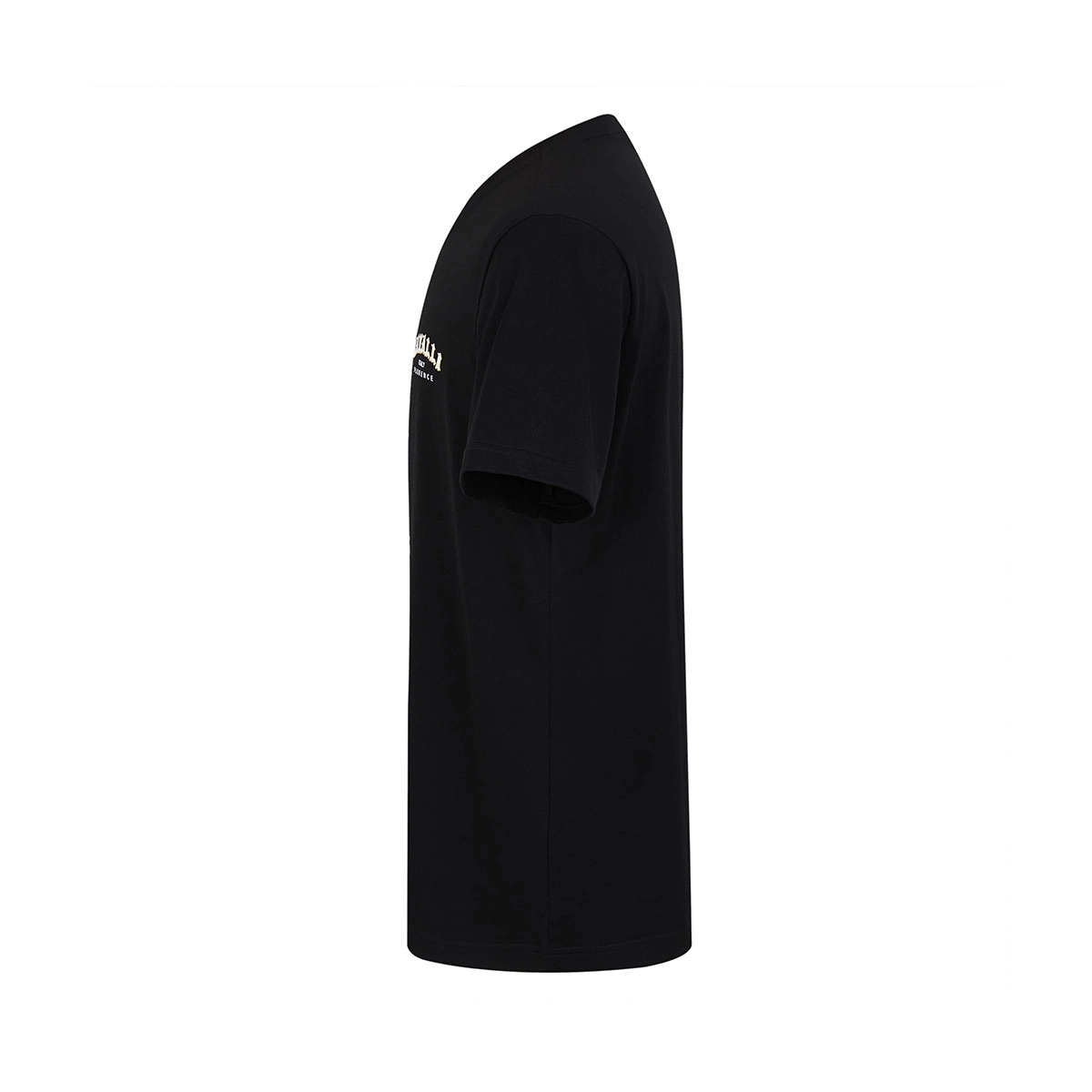Cavalli Class T