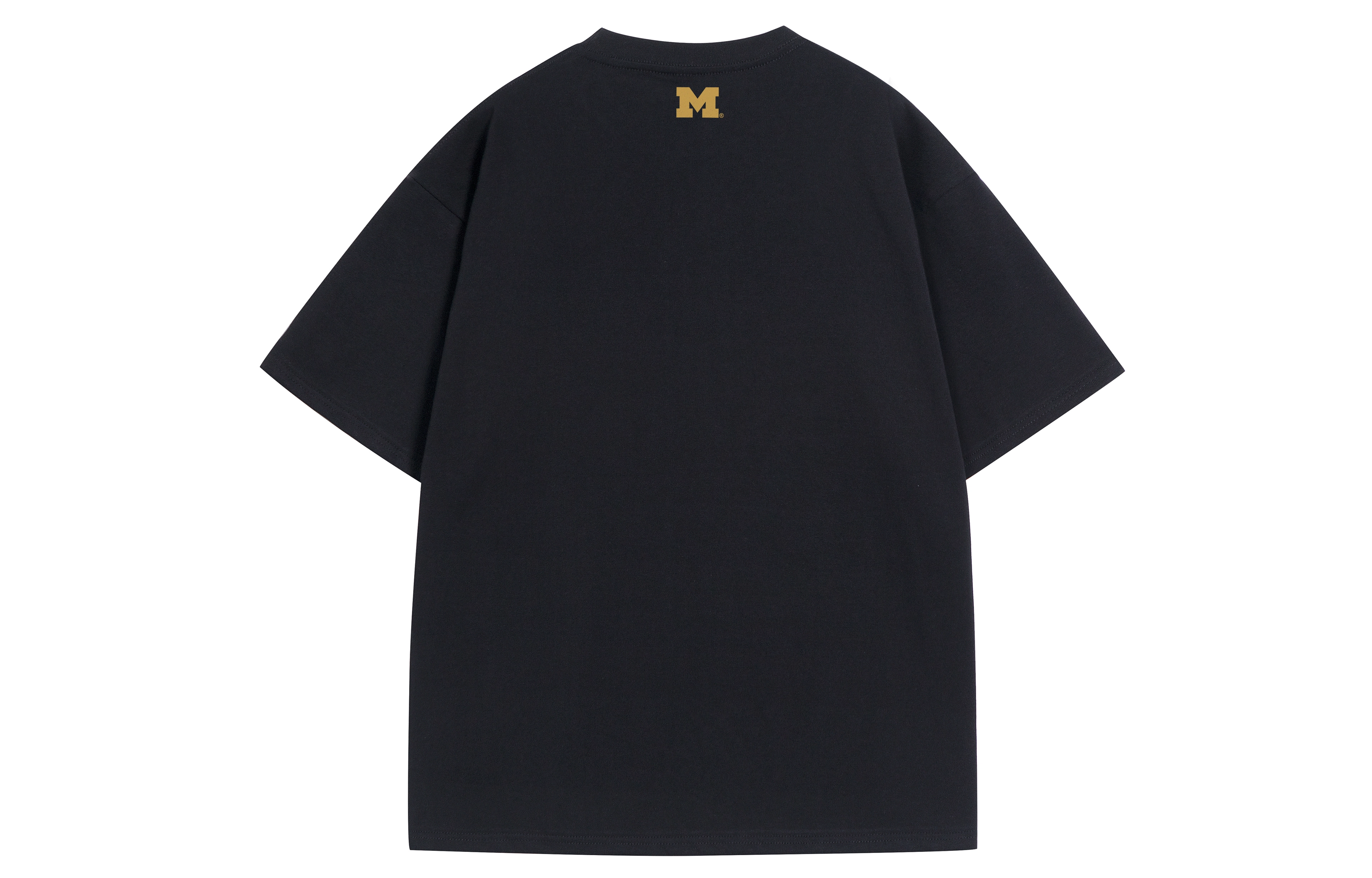 NCAA MICHIGANLogoT