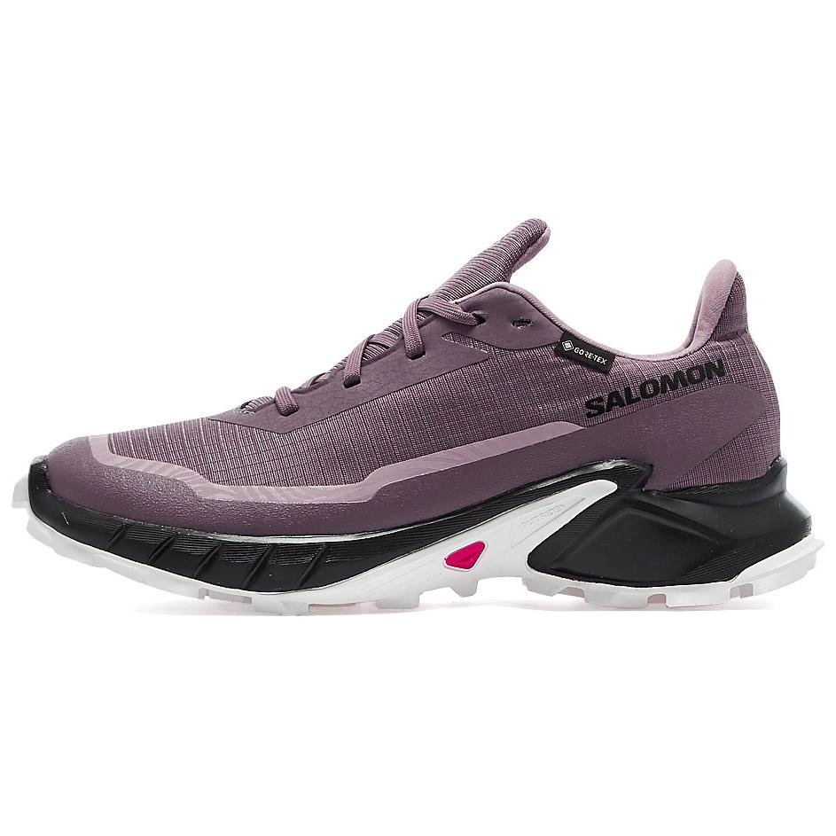 SALOMON ALPHACROSS 5 GORE-TEX