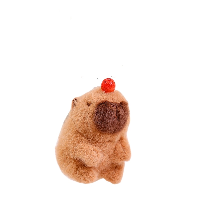11cm