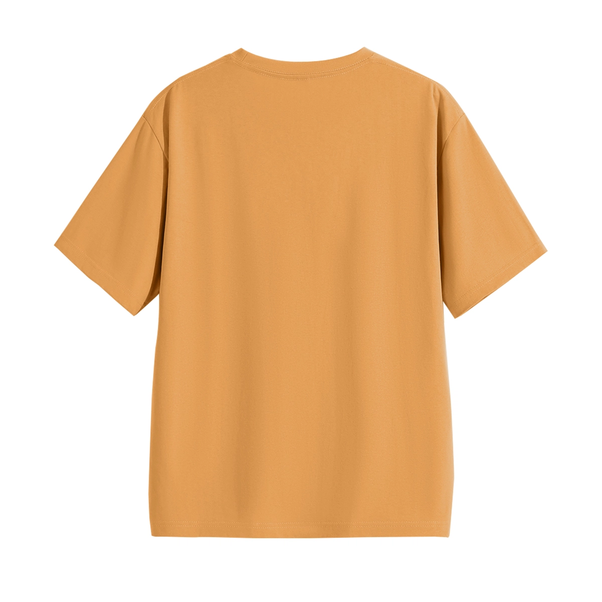 HIPANDA T