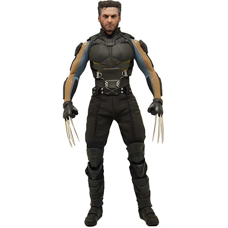 Hot Toys 16 x 16 3.0