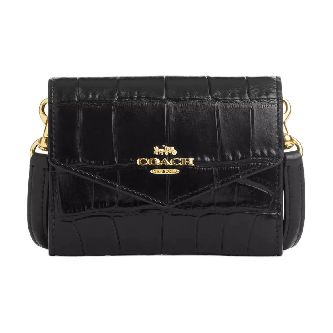 COACH Envelope 12
