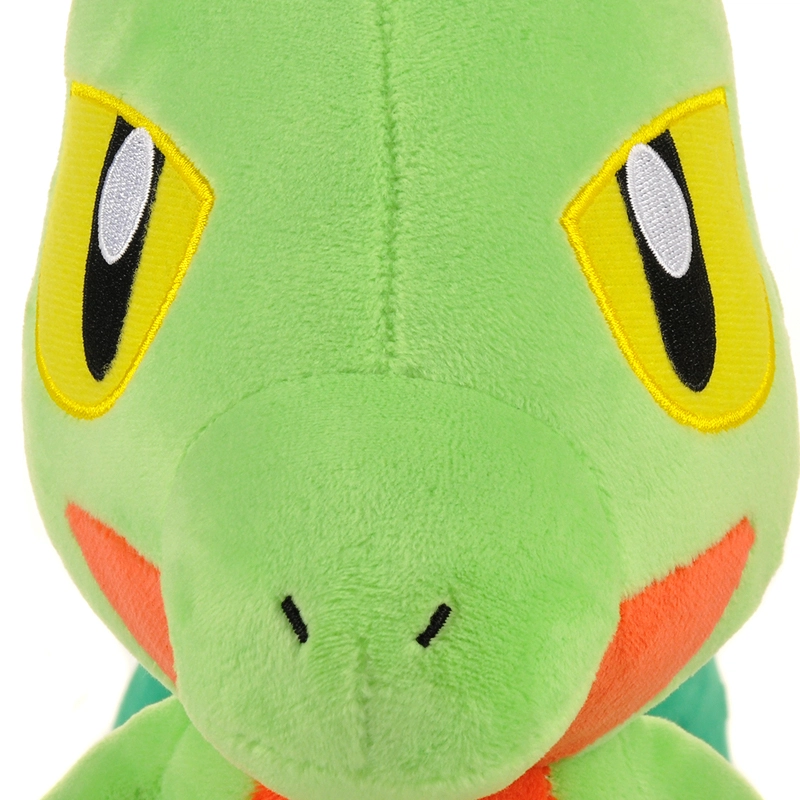24cm