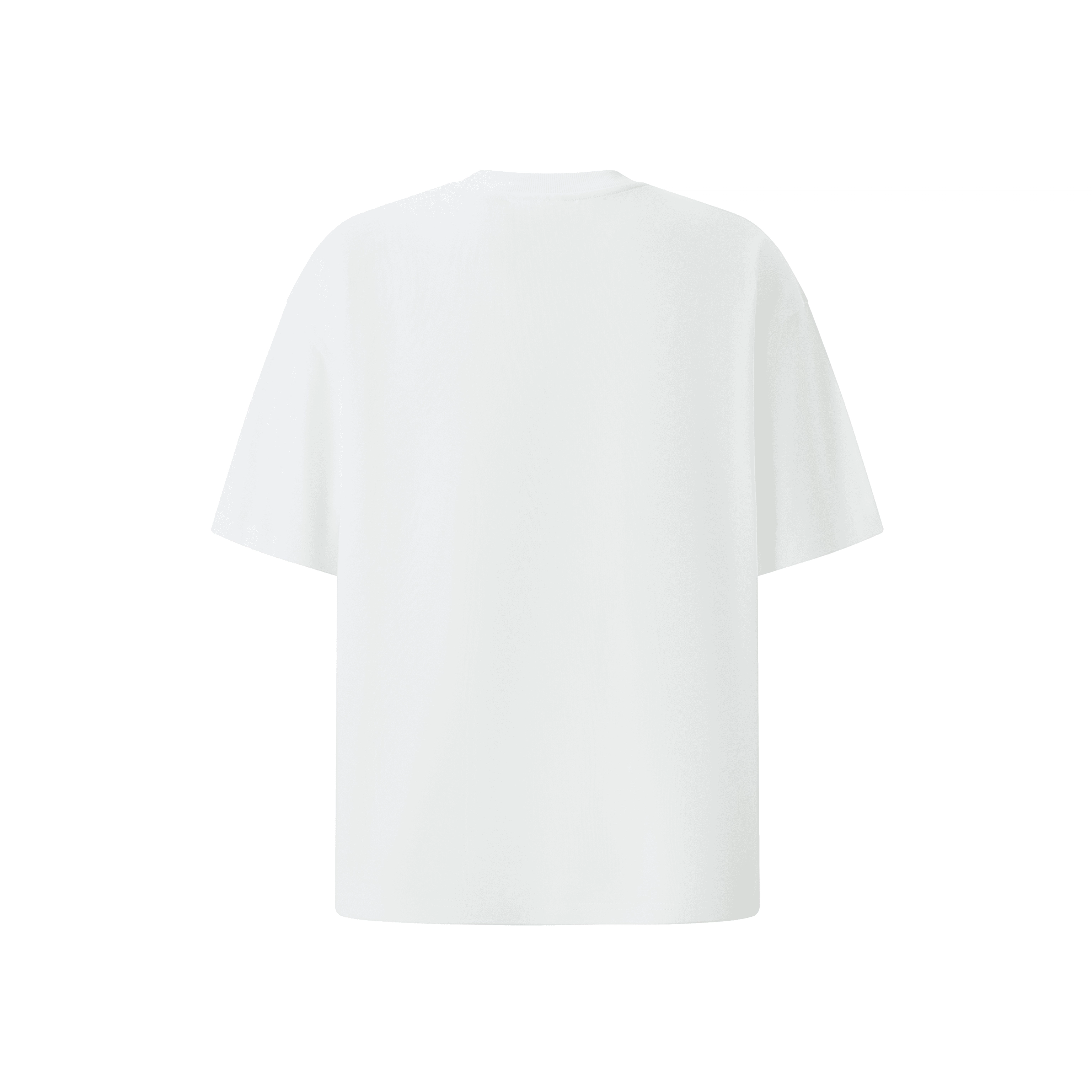 PROJECTJOIN THE FRUIT T-SHIRT OVERSIZE T