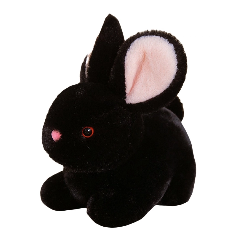 ZHUOQU 15cm20cm30cm