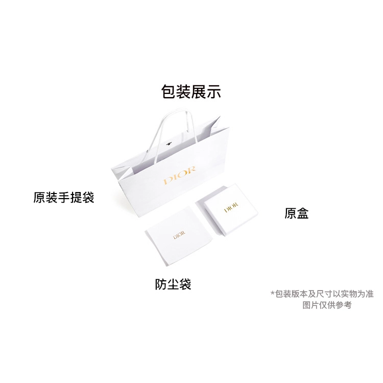 DIOR Oblique