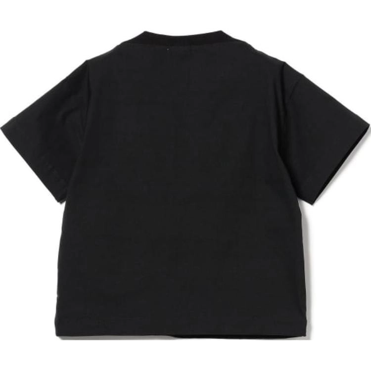 beams T