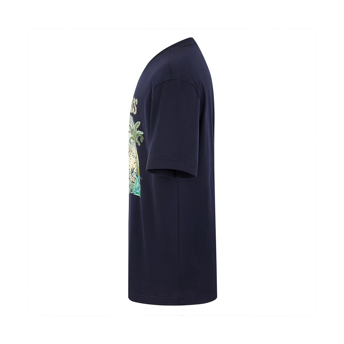 Cavalli Class logoT