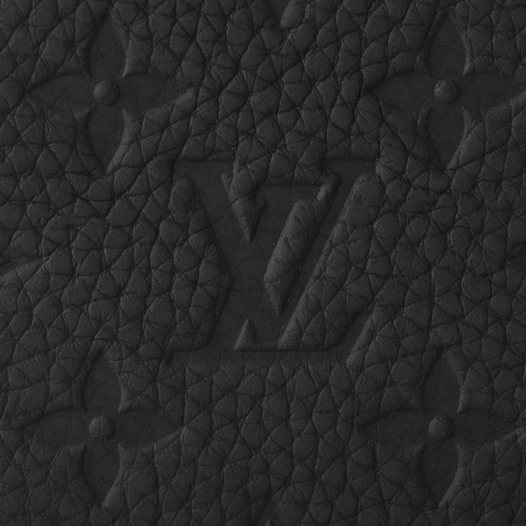 LOUIS VUITTON Multiple Taurillon