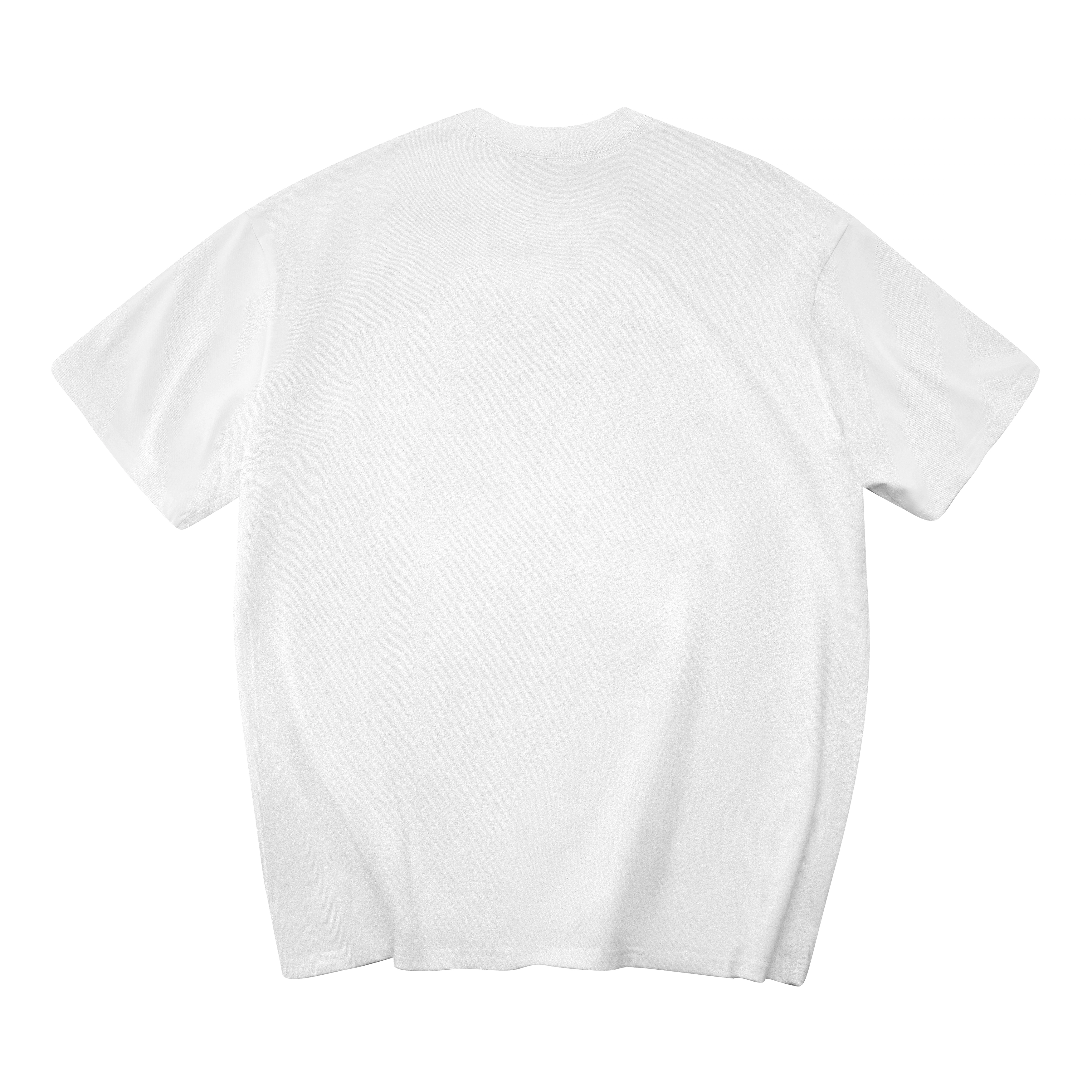 LARA STAR T