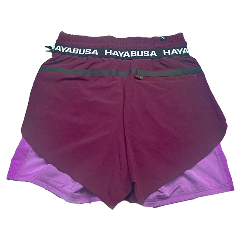 HAYABUSA
