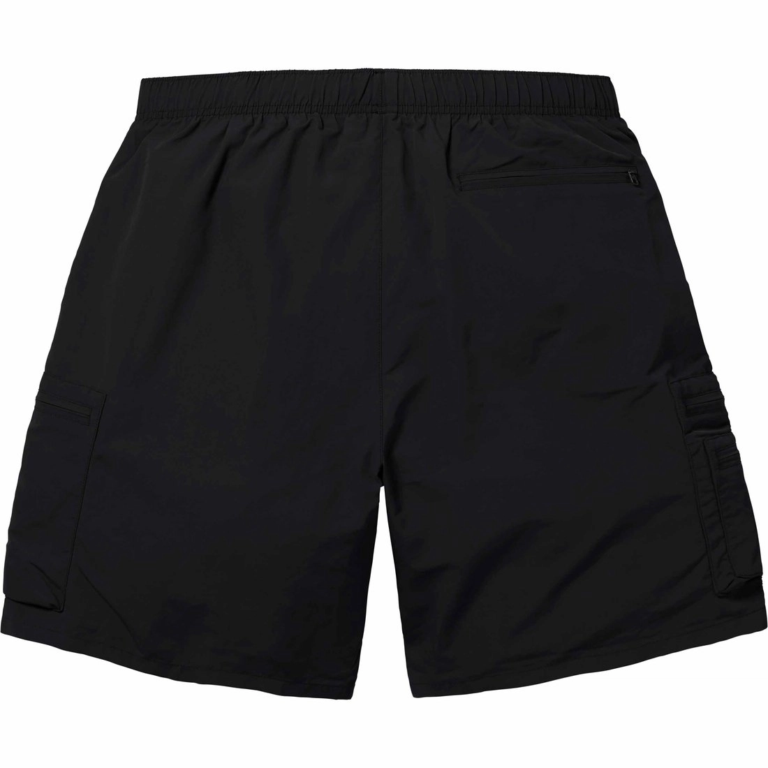 Supreme SS24 WEEK16 CARGO WATER SHORT