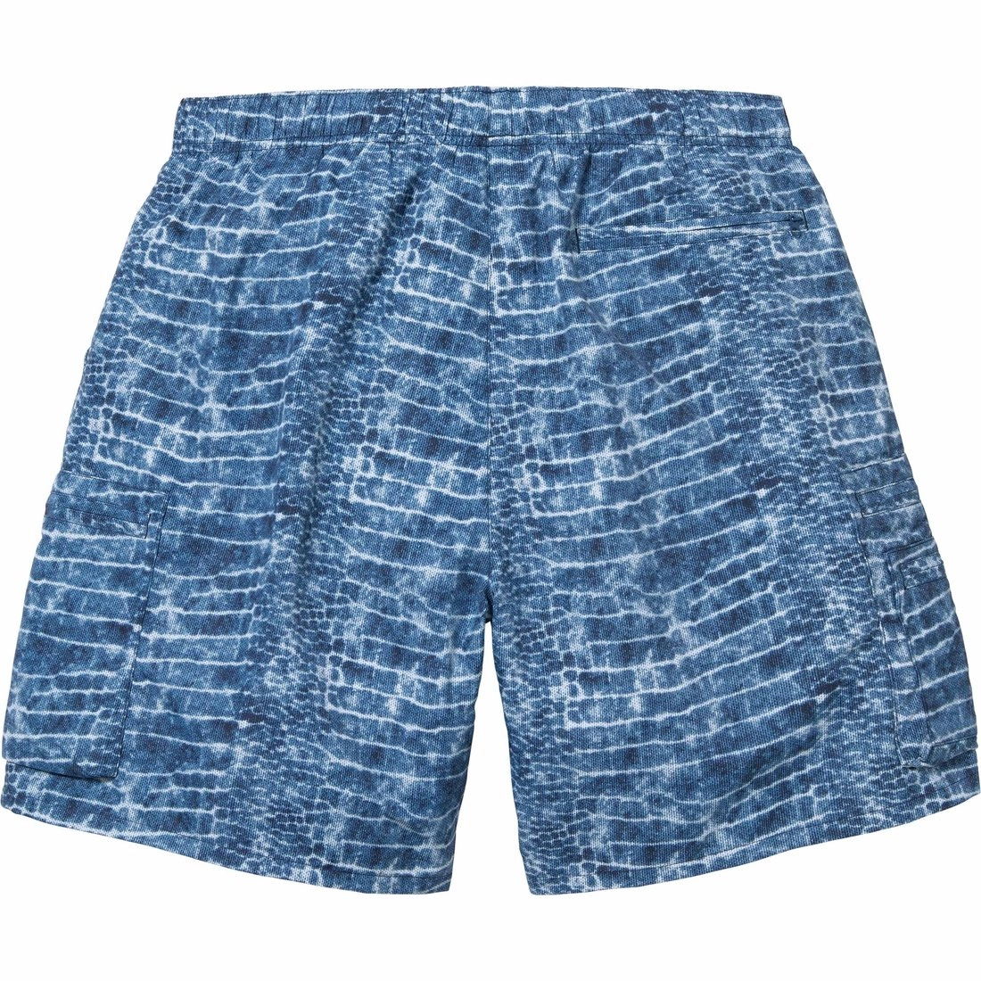 Supreme SS24 WEEK16 CARGO WATER SHORT