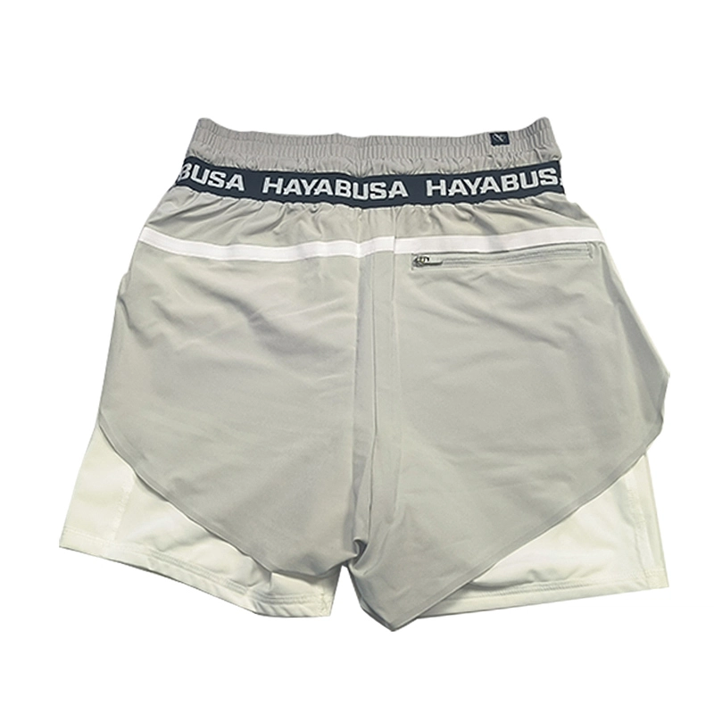 HAYABUSA