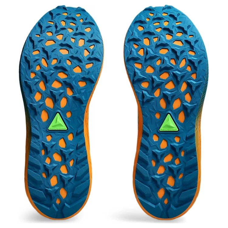 Asics Fuji Lite 5