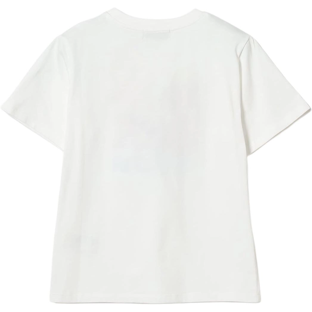 beams T