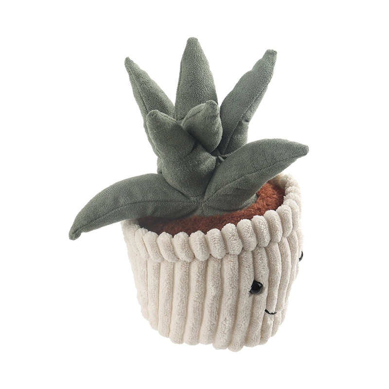 APRICOT LAMB 20cm