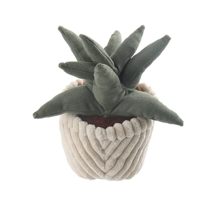 APRICOT LAMB 20cm