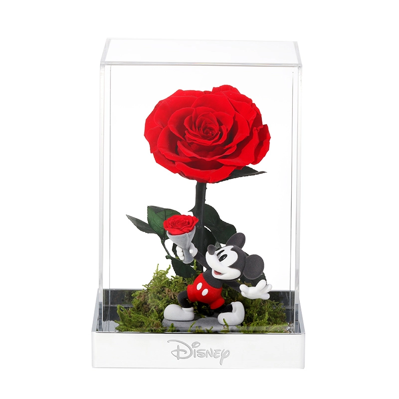 Disney store