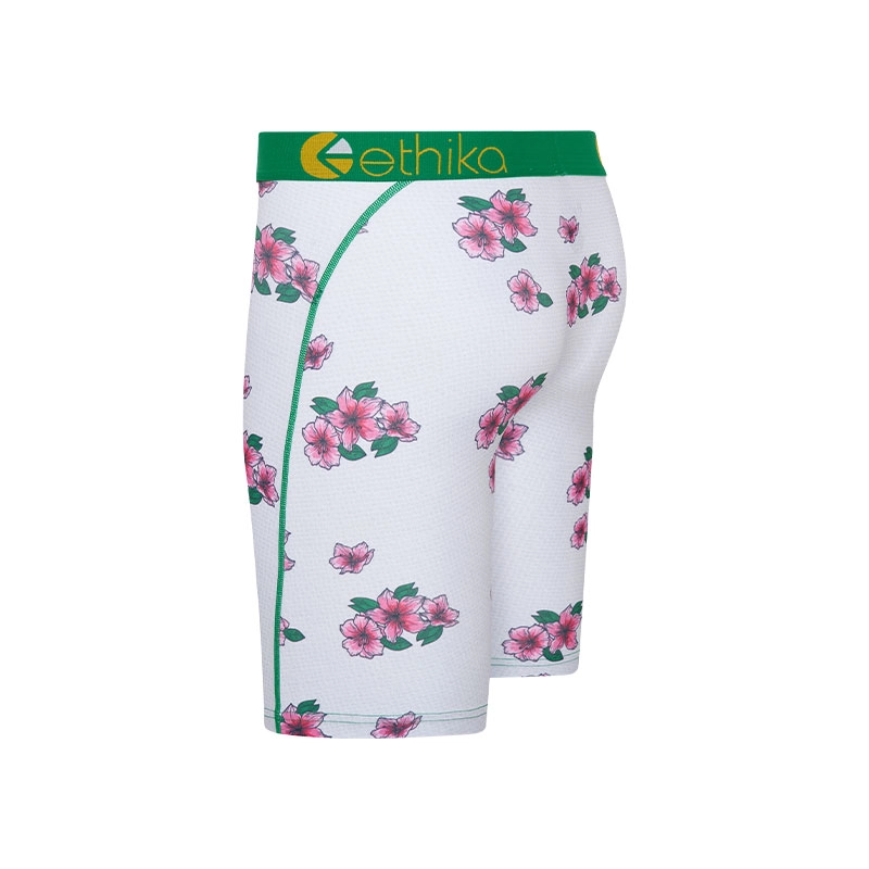 ETHIKA 1