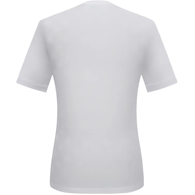 SAINT ANGELO T