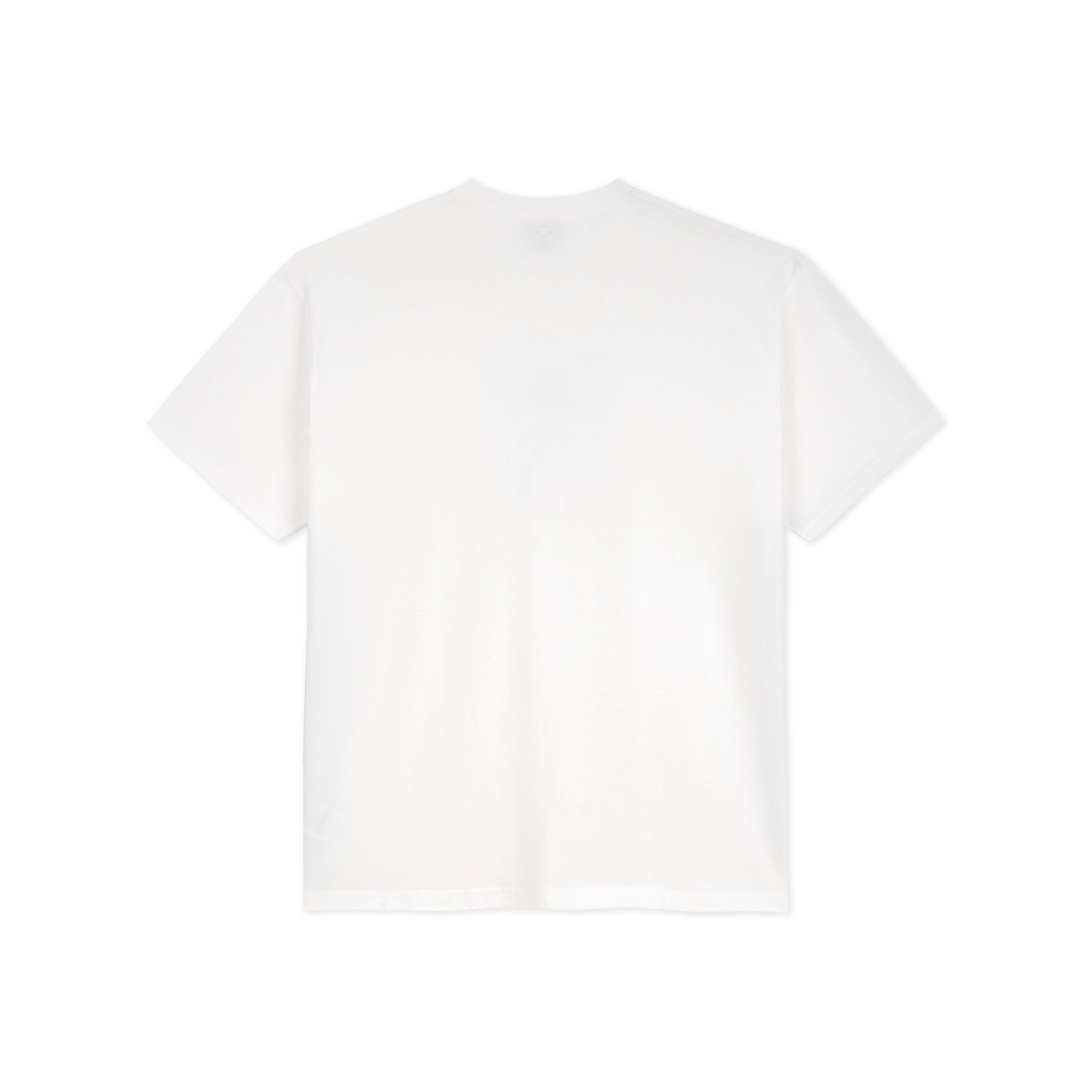 POLAR SKATE CO T