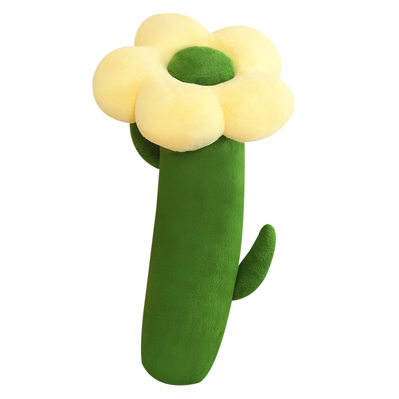 80cm100cm