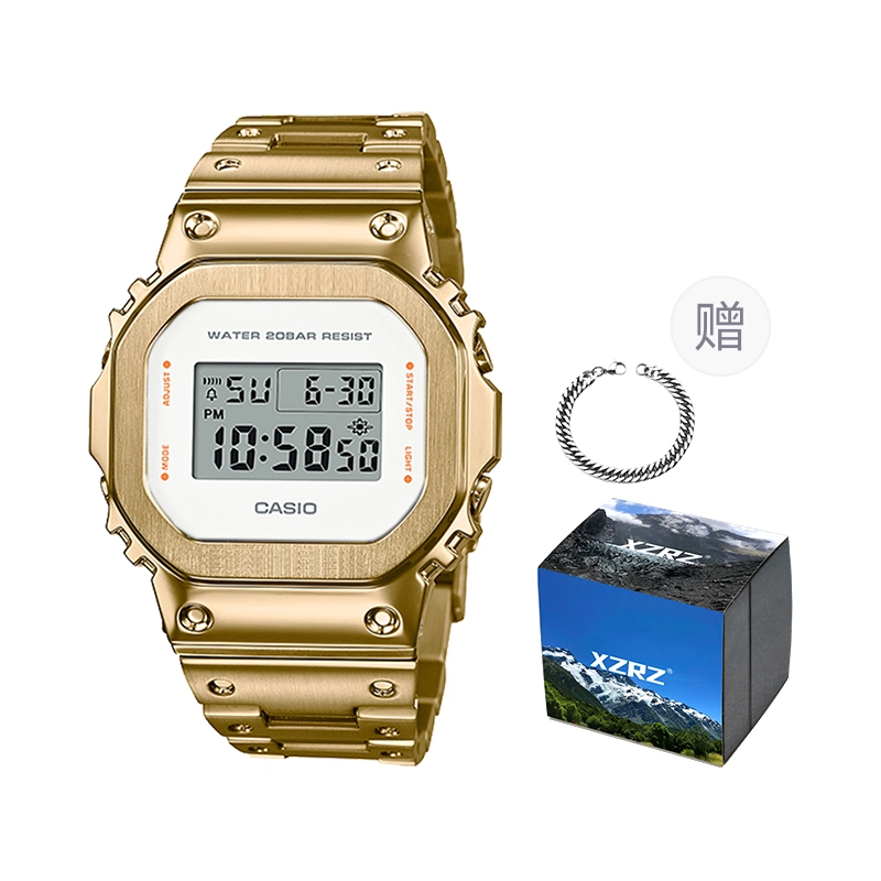CASIO DW-5600WS-4