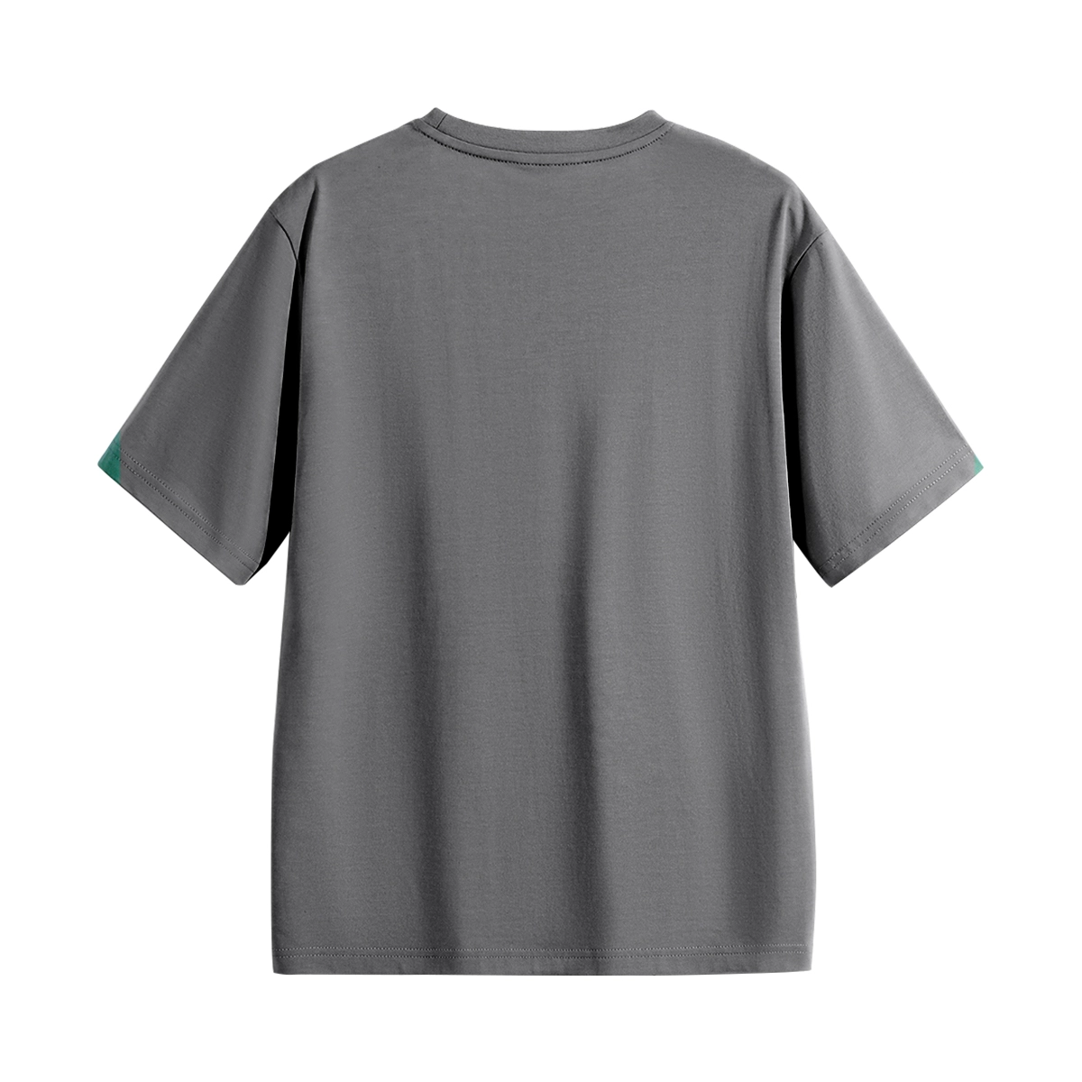 HIPANDA T