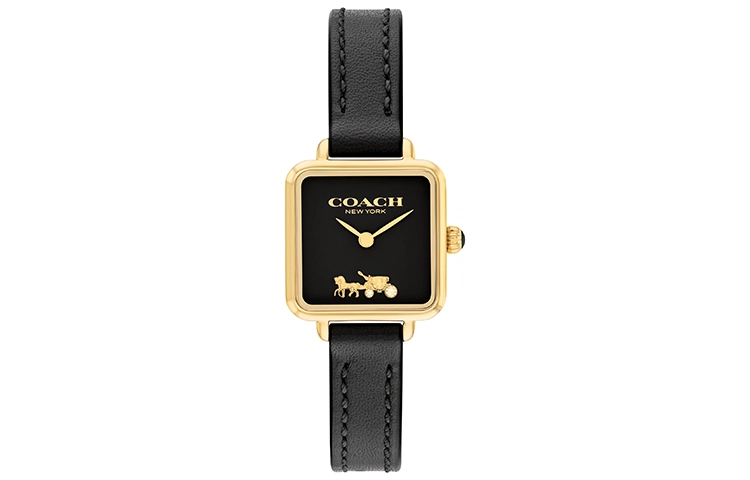 COACHCass 22mm 14504225