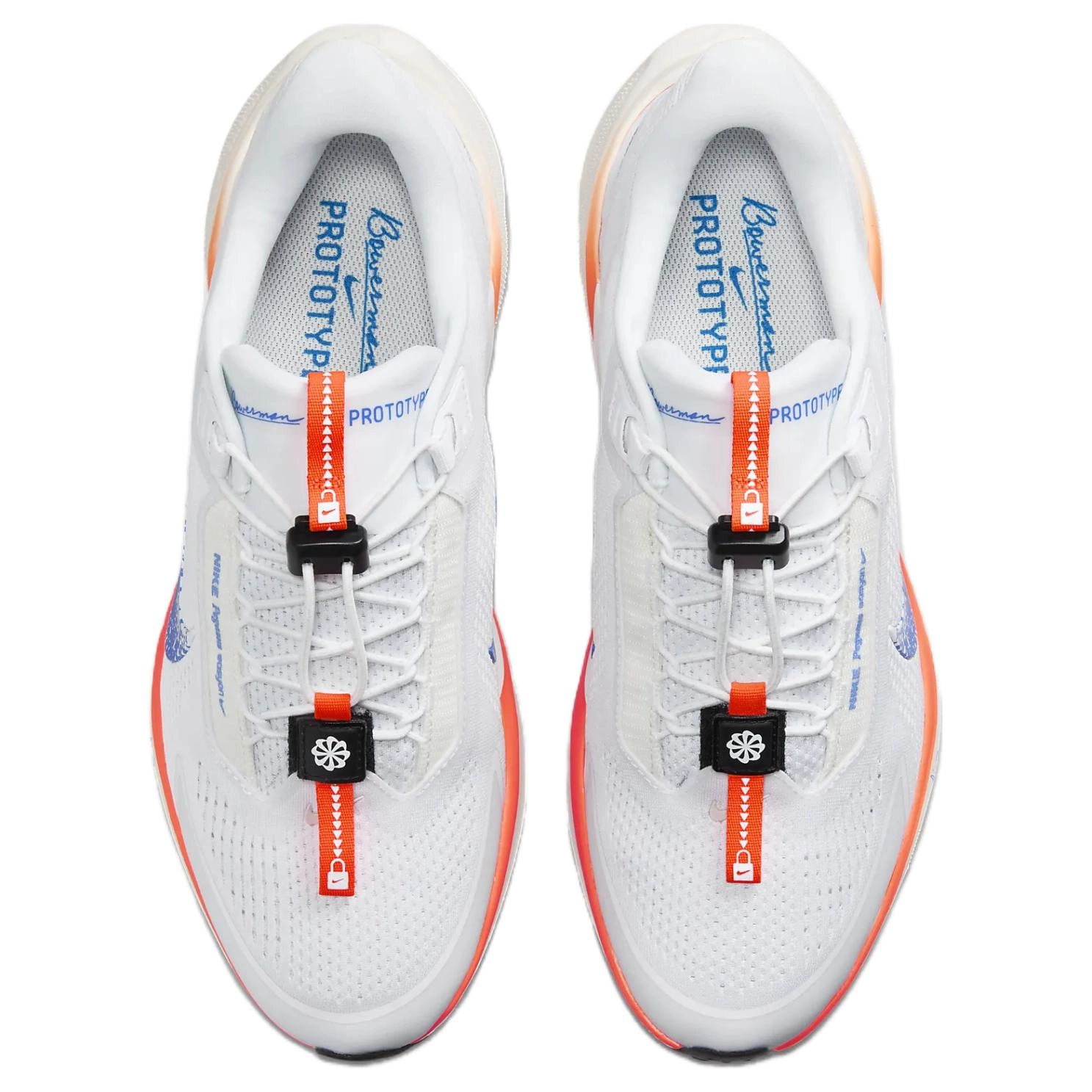 Nike Pegasus Ezion Blueprint
