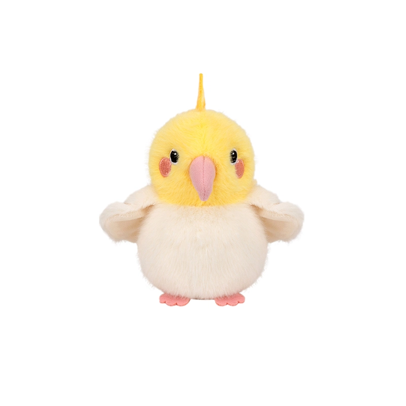 10cm