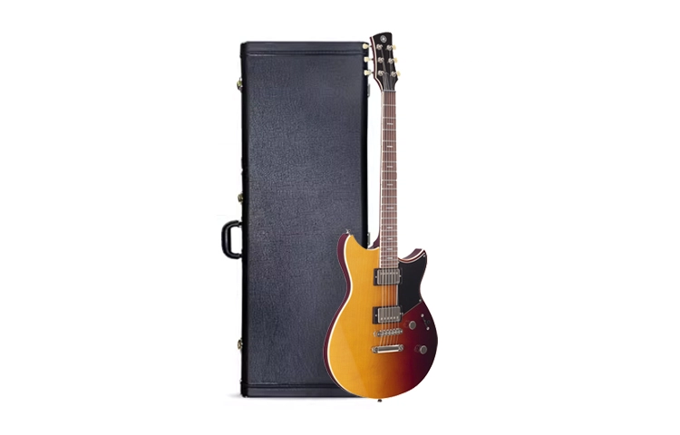 YAMAHA RSP( RSP20RSP20X