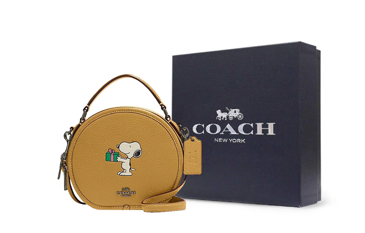 COACH x Peanuts Snoopy Dempsey 18