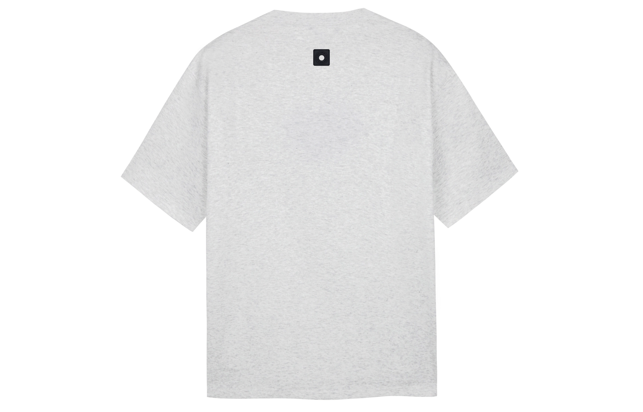 ICONS Lab T
