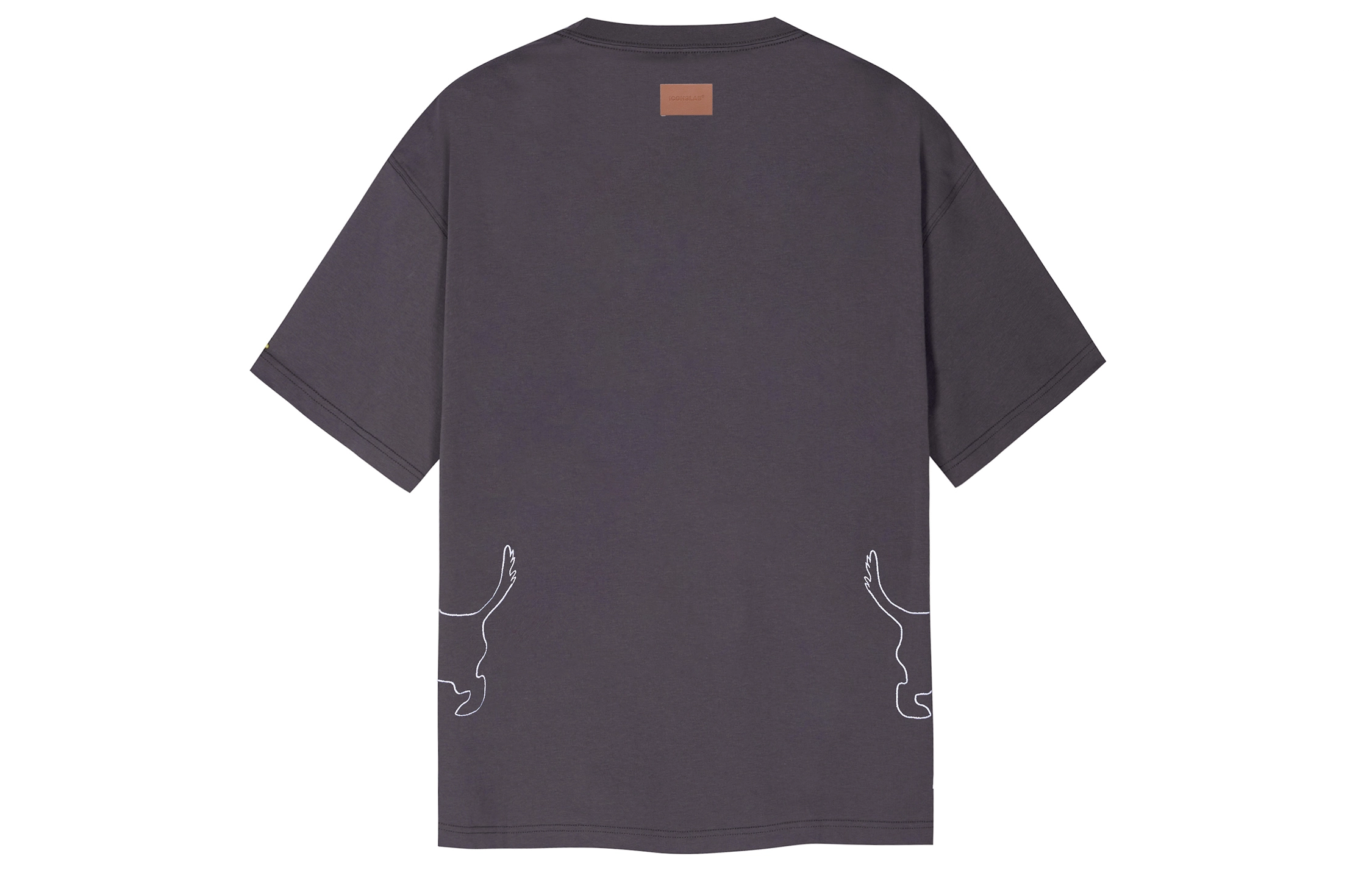 ICONS Lab T