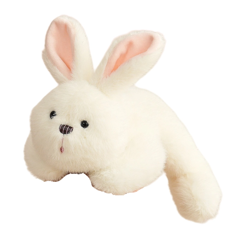 20cm