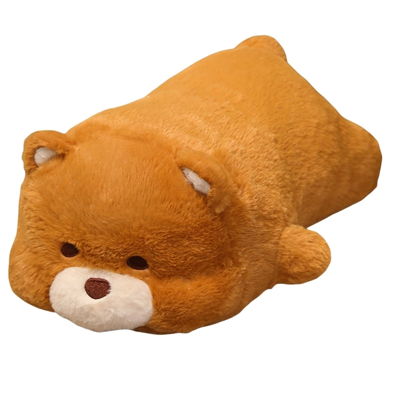 50cm