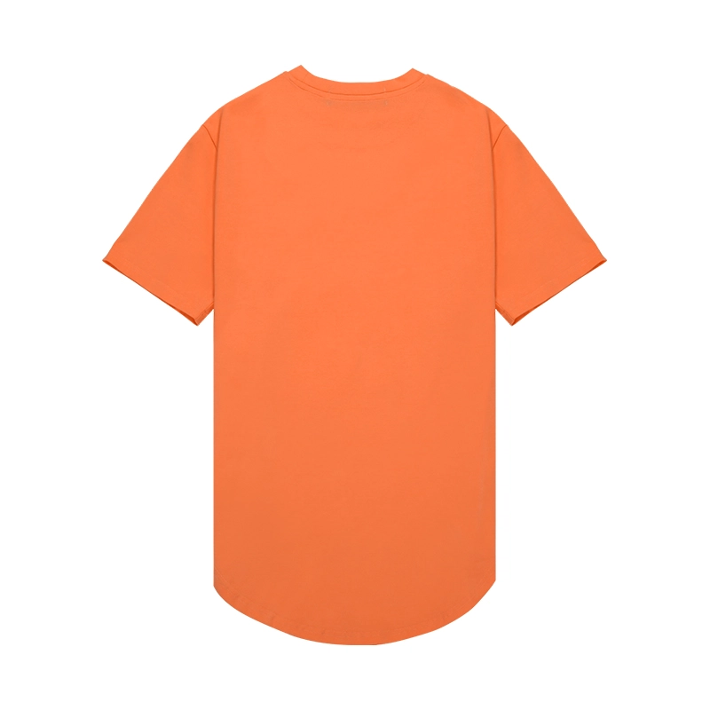 BLUESFLY T