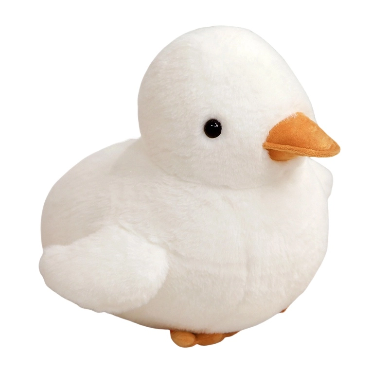 30cm40cm