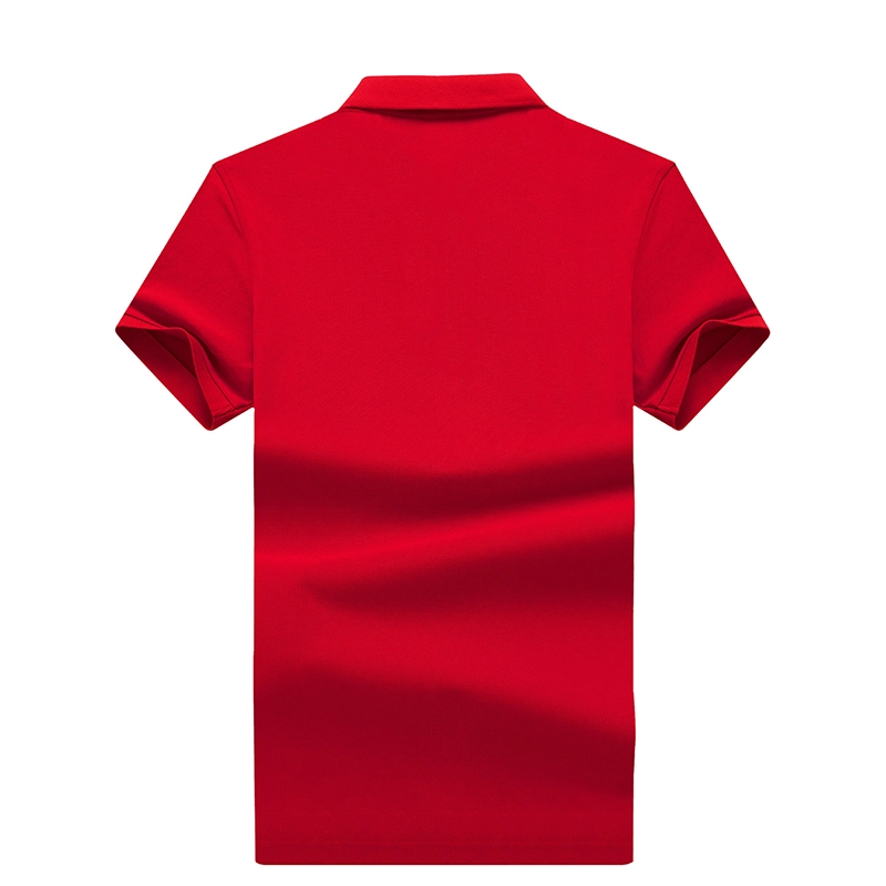 PIERRE CARDIN Polo