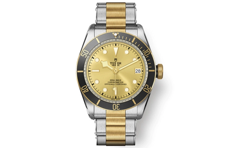 TUDOR 200m 41mm M79733N-0004