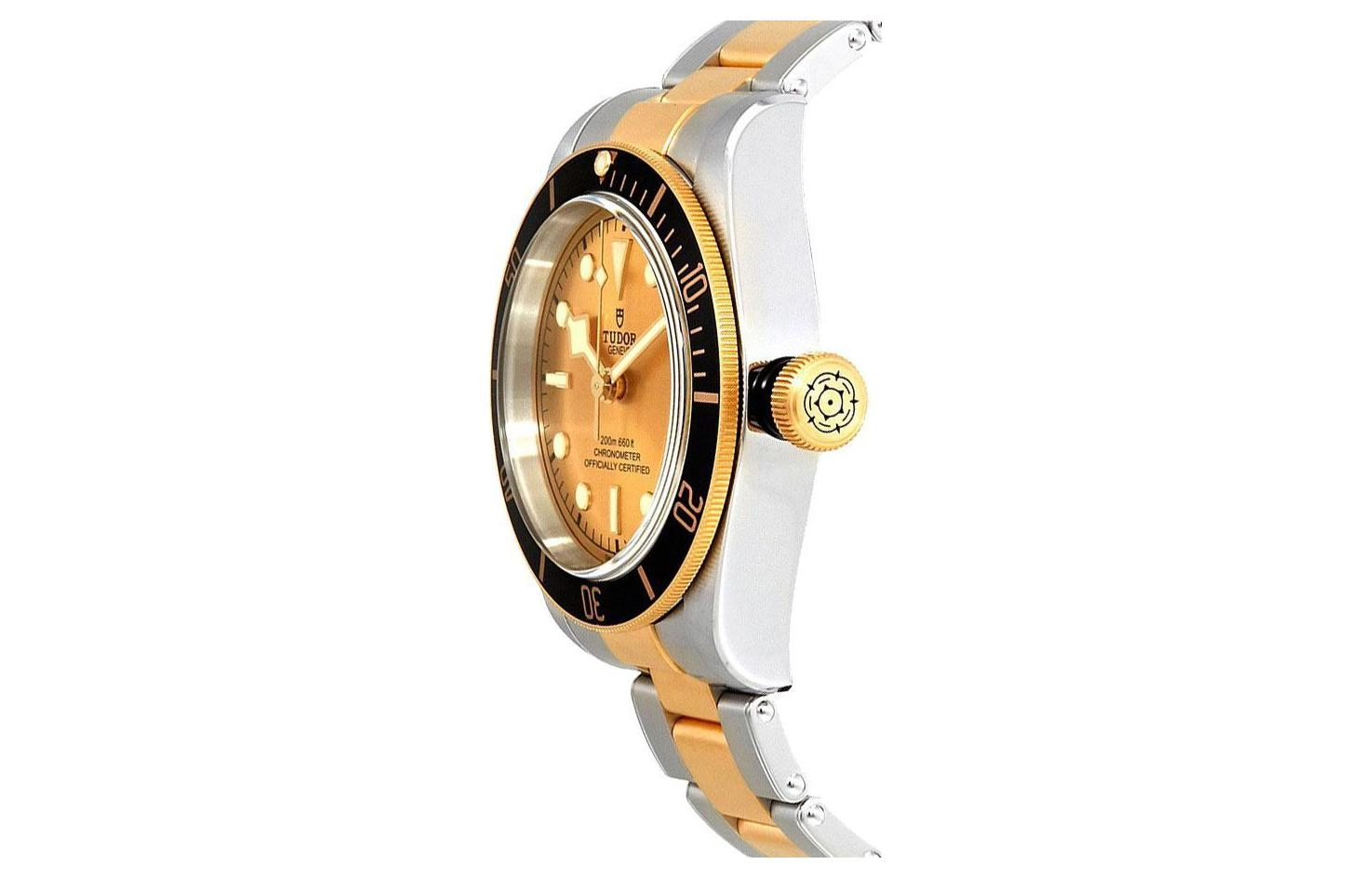 TUDOR 200m 41mm M79733N-0004
