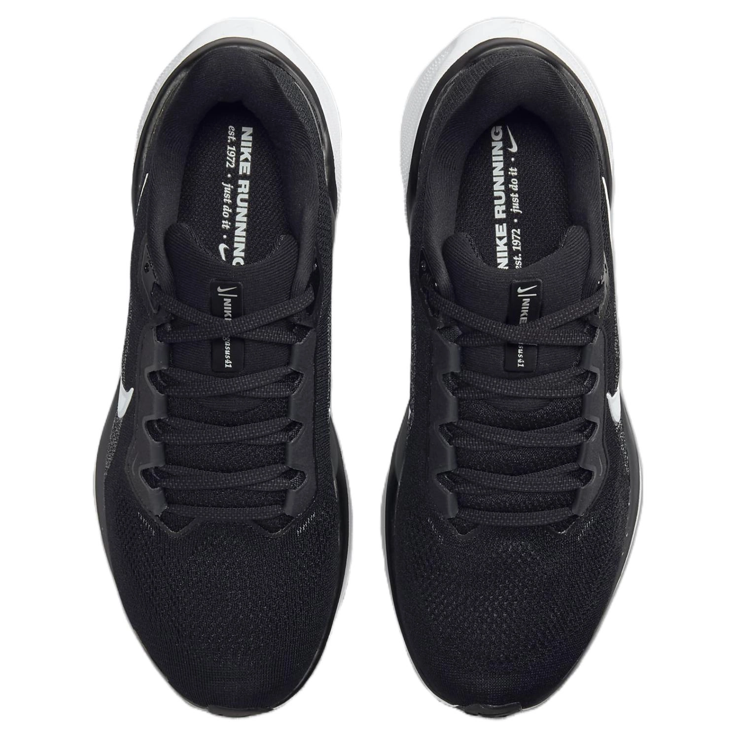 Nike Pegasus 41