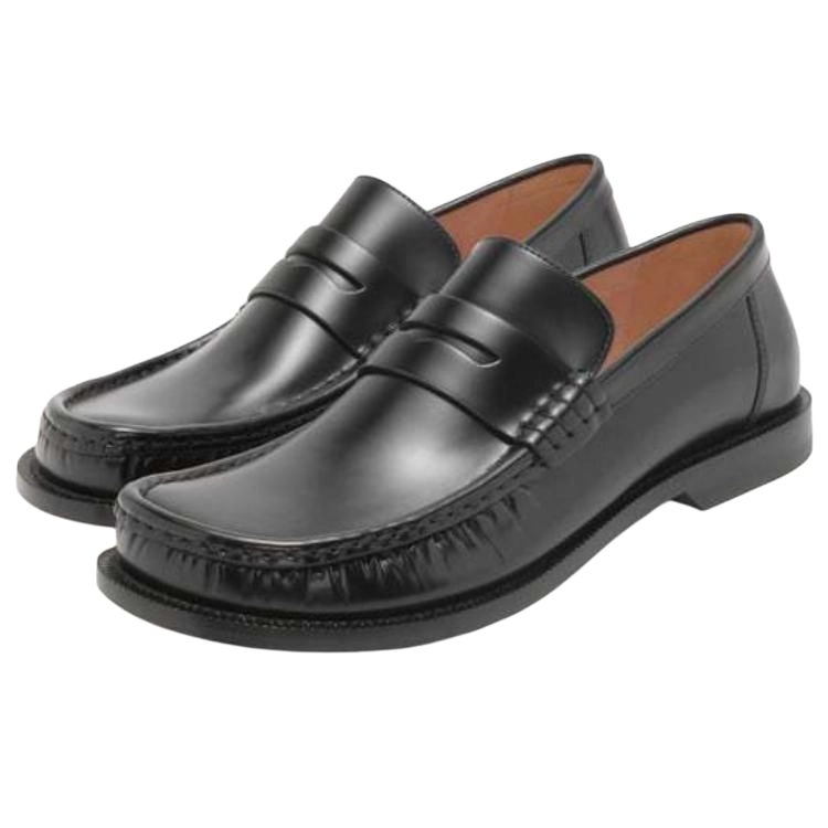 LOEWE Campo