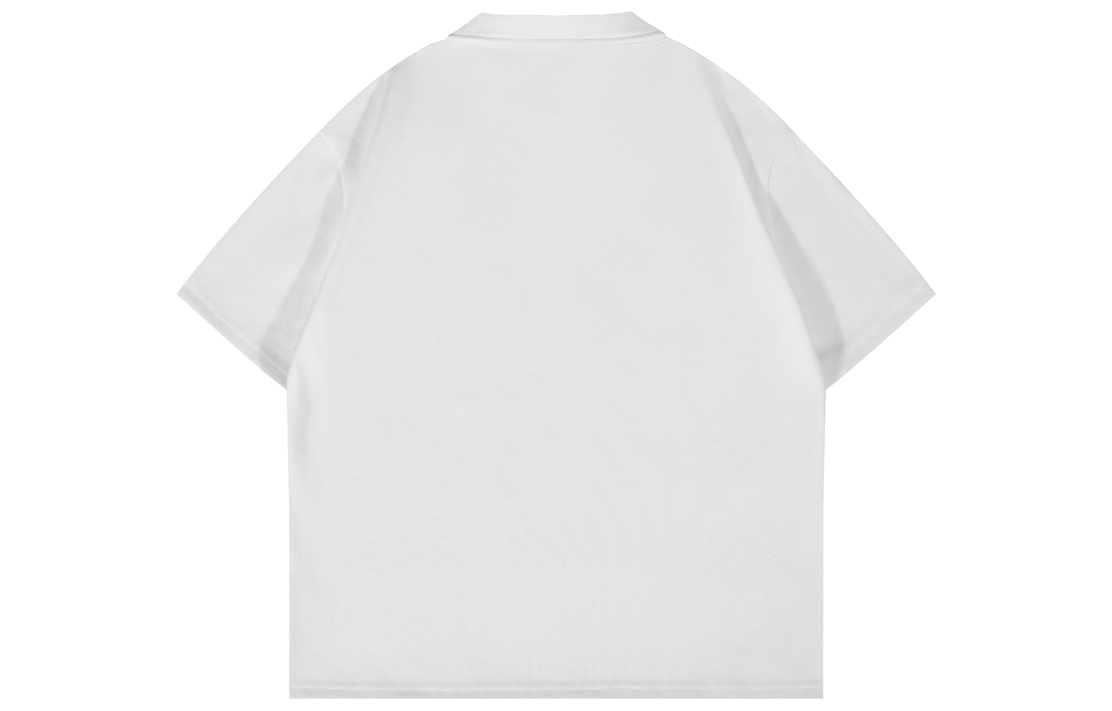 LogoPolo