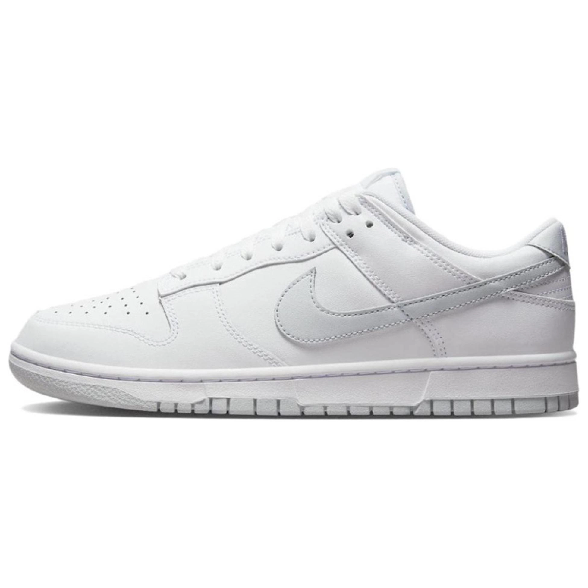 Nike Dunk LTDZ