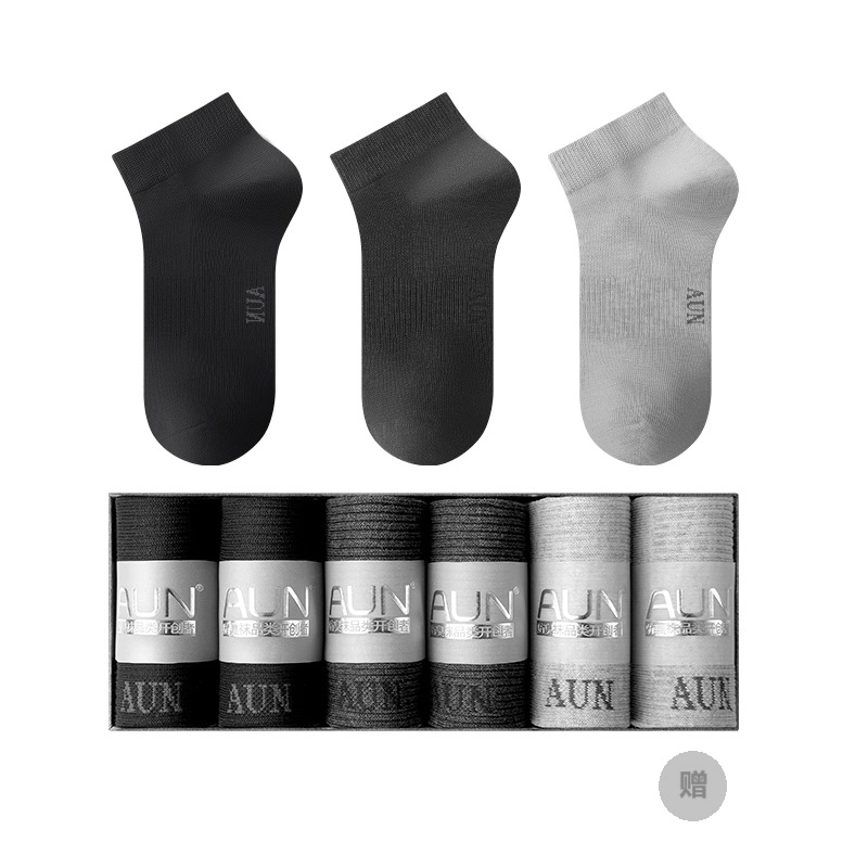 AUN 6