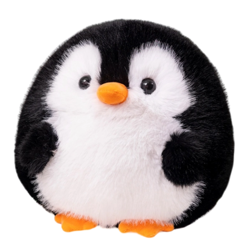 20cm